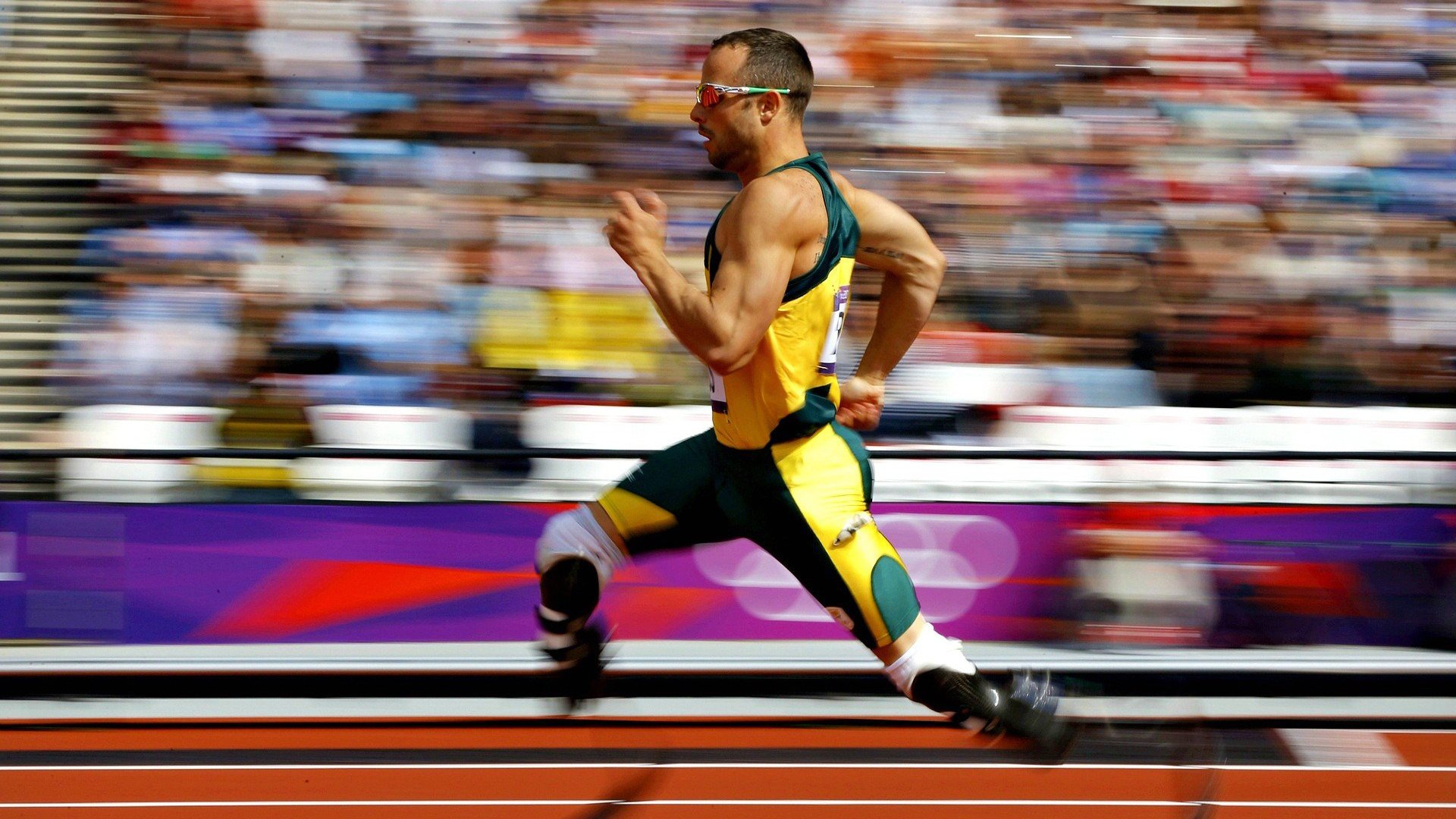 德甲借助科技打造智慧足球场,德甲专业足球场