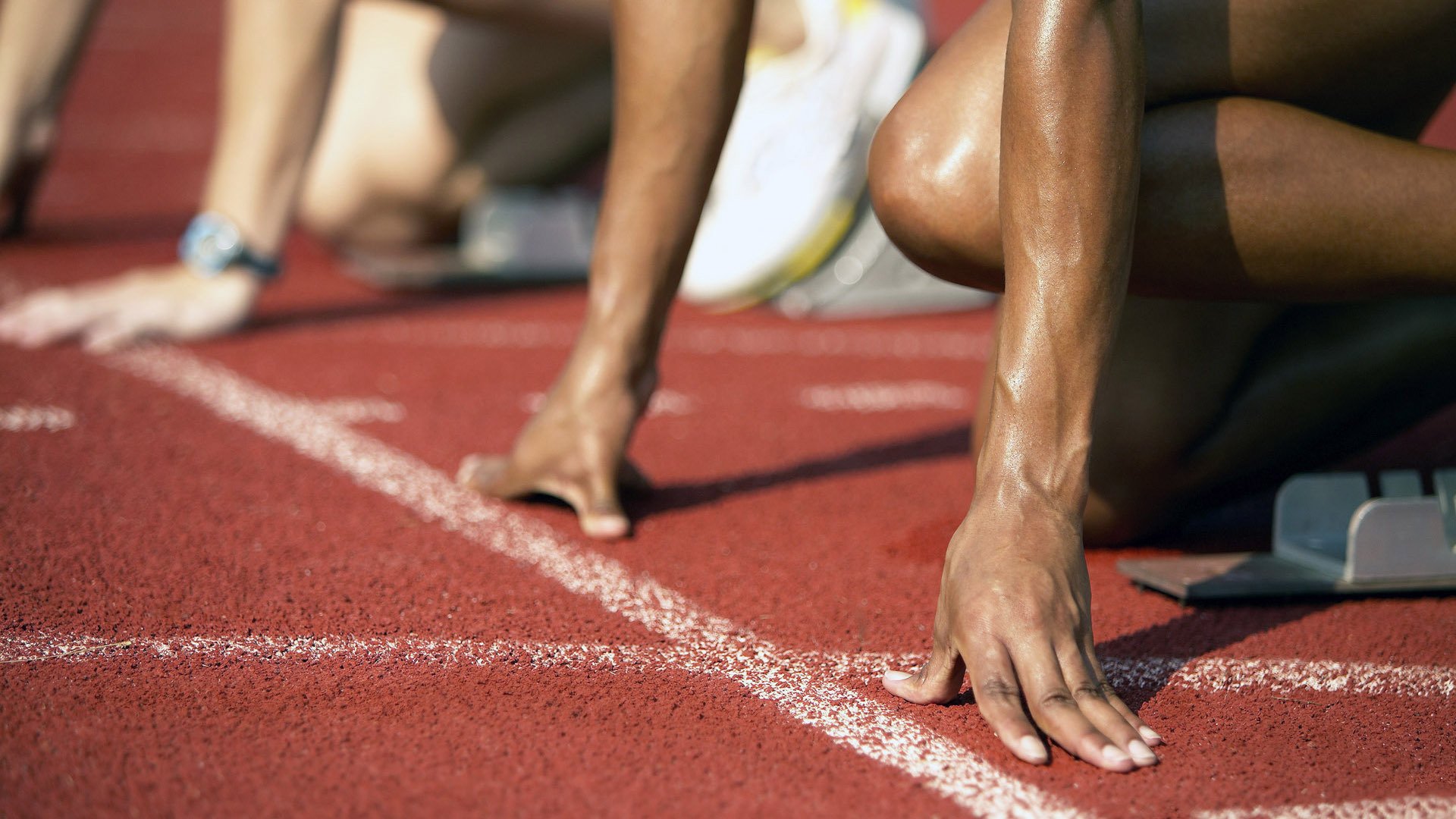 球迷文化是否正在影响联盟运营，球迷文化什么意思